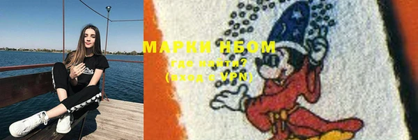 бошки Белокуриха