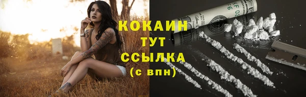 сатива Белоозёрский