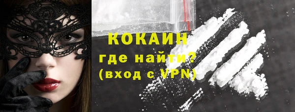 прущие грибы Богородицк