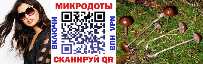Псилоцибиновые грибы GOLDEN TEACHER  закладки  МЕГА онион  Богородск 